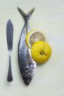 Сира риба зі скибочками юзу — стокове фото