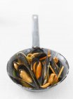 Steamed mussels in frying pan — Stock Photo