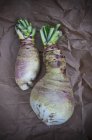Fresh Eastham Turnips — Stock Photo