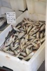 Elevated view of fresh sprats in a polystyrene container on a market stand — Stock Photo