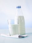 Copo de leite e garrafa de leite — Fotografia de Stock