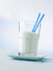 Glas Milch mit zwei Strohhalmen — Stockfoto