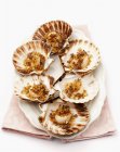 Elevated view of fried scallops served in shells on platter — Stock Photo
