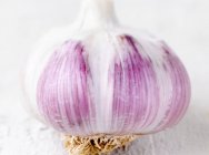 Fresh Garlic bulb — Stock Photo