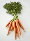 Monte de cenouras frescas com talos — Fotografia de Stock