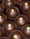 Шоколадні цукерки з кедровою начинкою — стокове фото