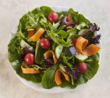 Ein bunter Salat auf weißem Teller — Stockfoto