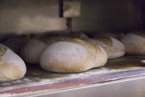 Panes de pan recién horneados - foto de stock