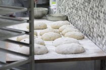 Pani di pane crudo su tavola di legno ricoperti di farina — Foto stock