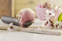 Neapolitan ice cream in an ice cream scoop — Stock Photo