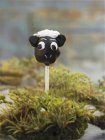 Cake pop in form of chocolate sheep — Stock Photo
