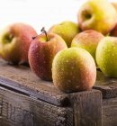 Щойно промивають яблука — стокове фото