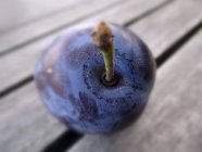Prune fraîche mûre — Photo de stock