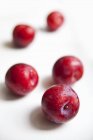 Freshly washed organic plums — Stock Photo