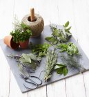 Elevated view of kitchen herbs on a slate sheet — Stock Photo