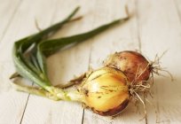 Onions from the garden — Stock Photo