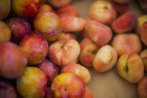 Pfirsiche und rote Pflaumen im Weinberg — Stockfoto