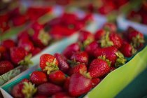 Erdbeeren in Pappbechern — Stockfoto