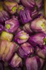 Fresh Purple peppers — Stock Photo
