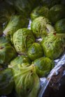 Spiced Brussels sprouts — Stock Photo