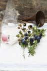 Closeup view of blackberries and sloes sprigs with leaves and fruits, glass bottle, funnel and twine — Stock Photo