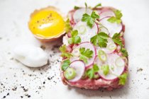 Steak tartare with radishes — Stock Photo