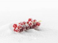 Ribes rosso in mucchio di zucchero a velo — Foto stock