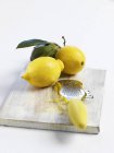 Limões com ralador e raspas de limão — Fotografia de Stock