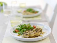 Grilled turkey breast with salad and a mojito — Stock Photo