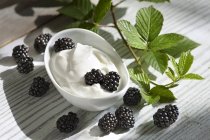 Joghurt mit Brombeeren und Blättern — Stockfoto