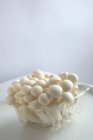 Свіжі китайські гриби — стокове фото