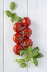 Tomates de vigne au basilic frais — Photo de stock