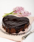 Шоколадный торт в форме сердца — стоковое фото