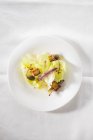 Vue du dessus de la salade César avec croûtons de polenta, câpres, anchois et coriandre — Photo de stock