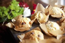 Muffins choc-chip en bandeja para hornear - foto de stock