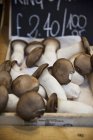 Crate of porcini mushrooms — Stock Photo