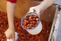 Сушеные тыквы, как ароматический горшок Pourri в эмали кружку — стоковое фото