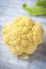 Свіжі жовтий цвітна капуста — стокове фото