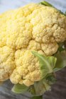 Fresh Yellow cauliflower — Stock Photo