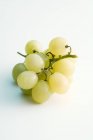 Grappolo di uva verde — Foto stock