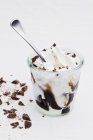 Замороженный йогурт с шоколадным соусом — стоковое фото