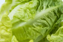 Frisch gewaschener Salat — Stockfoto