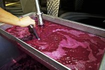 Cropped view of a hand scrapping red wine must in a basin — Stock Photo