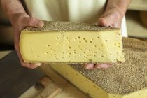 Горный сыр Форарльберг — стоковое фото