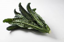Fresh Green Kale — Stock Photo