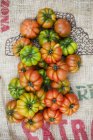 Various beefsteak tomatoes — Stock Photo