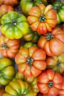 Various beefsteak tomatoes — Stock Photo