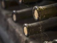 Primo piano vista di bottiglie di vino colli in ragnatela e polvere — Foto stock