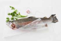 Fresh trout on paper with parsley — Stock Photo