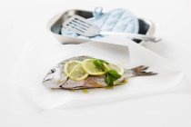 Seabream with lemon slices and basil — Stock Photo